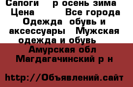 Сапоги 35 р.осень-зима  › Цена ­ 700 - Все города Одежда, обувь и аксессуары » Мужская одежда и обувь   . Амурская обл.,Магдагачинский р-н